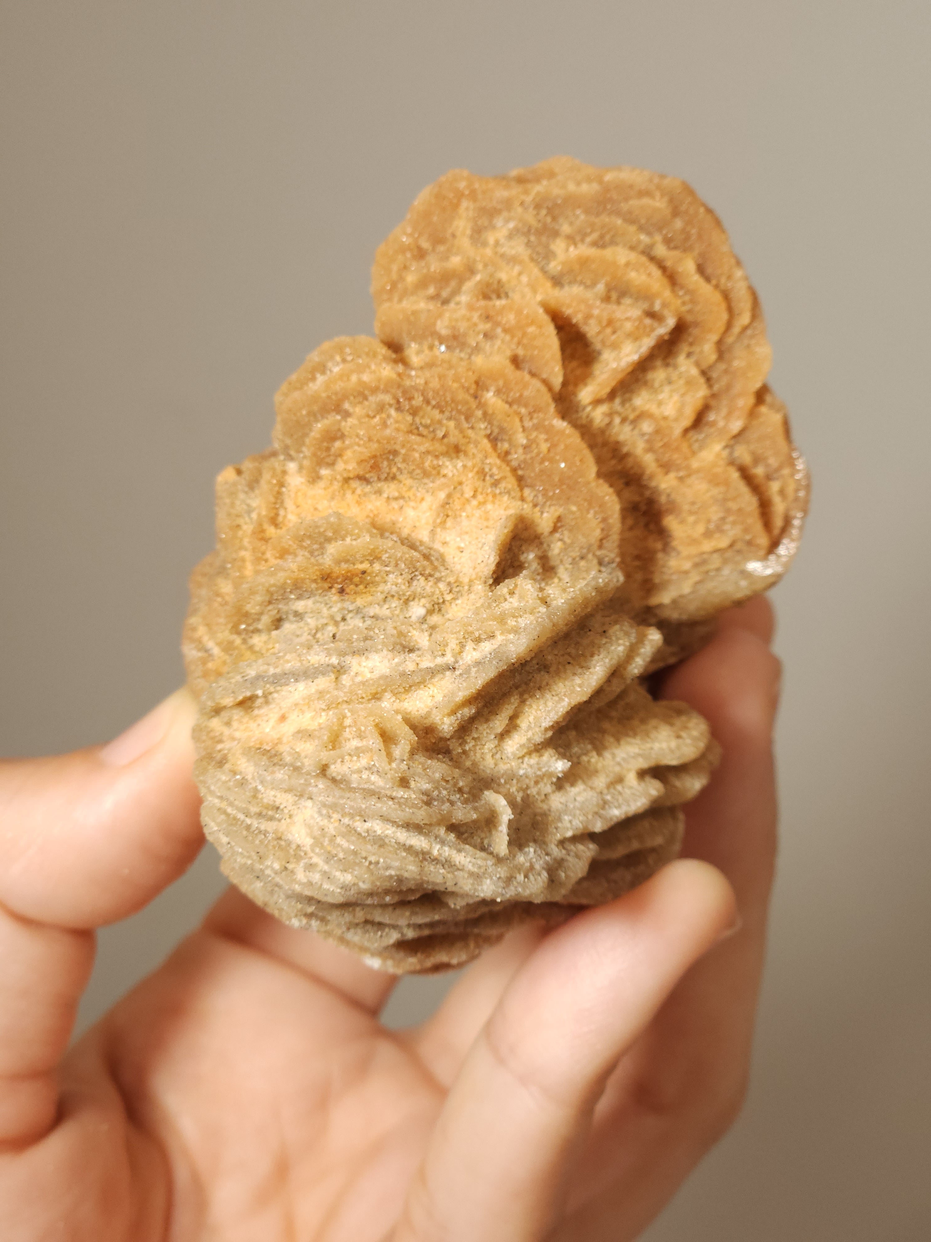 Small Desert Rose for clearing and stabilizing energy, grief and grounding