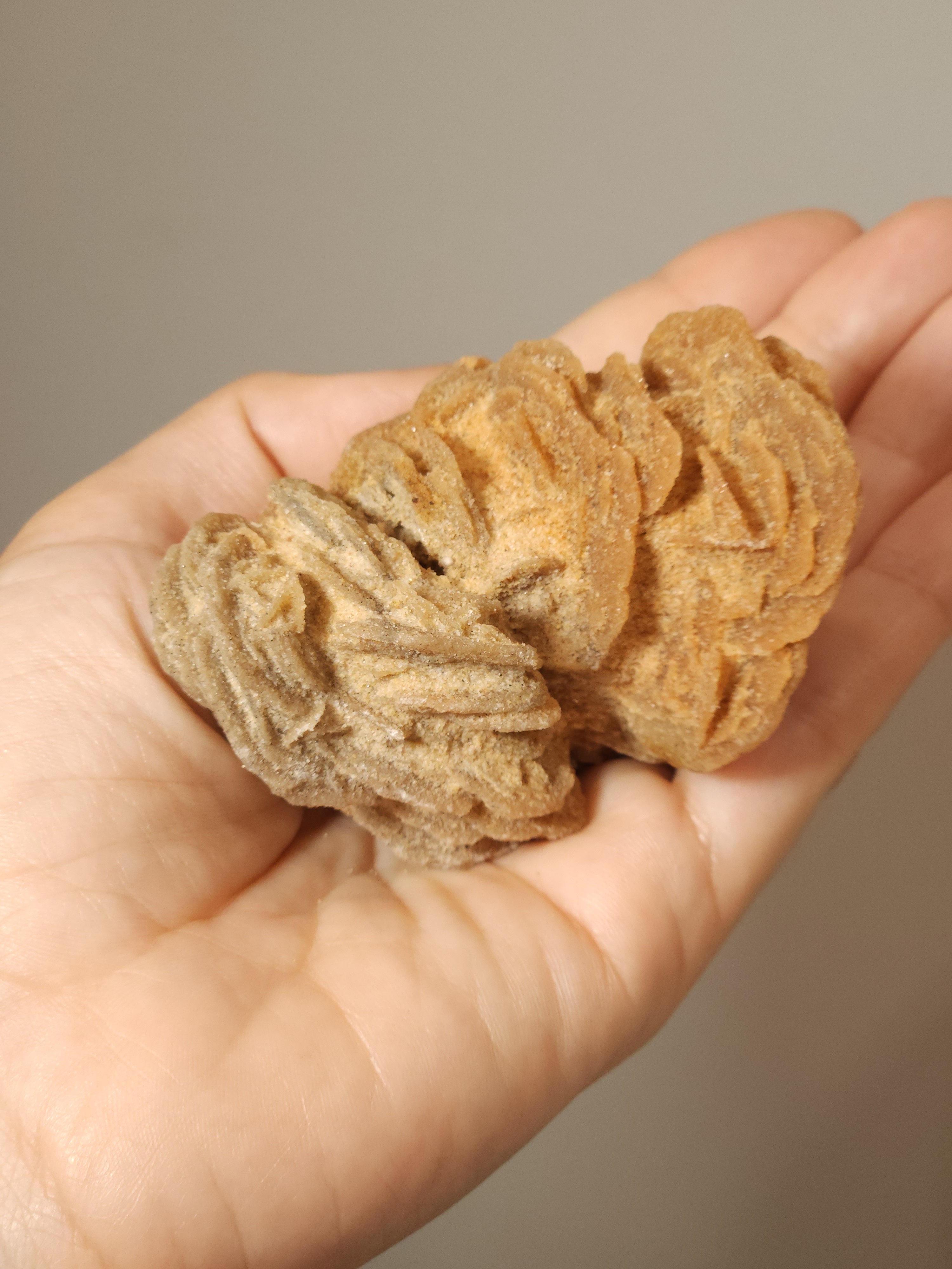 Small Desert Rose for clearing and stabilizing energy, grief and grounding