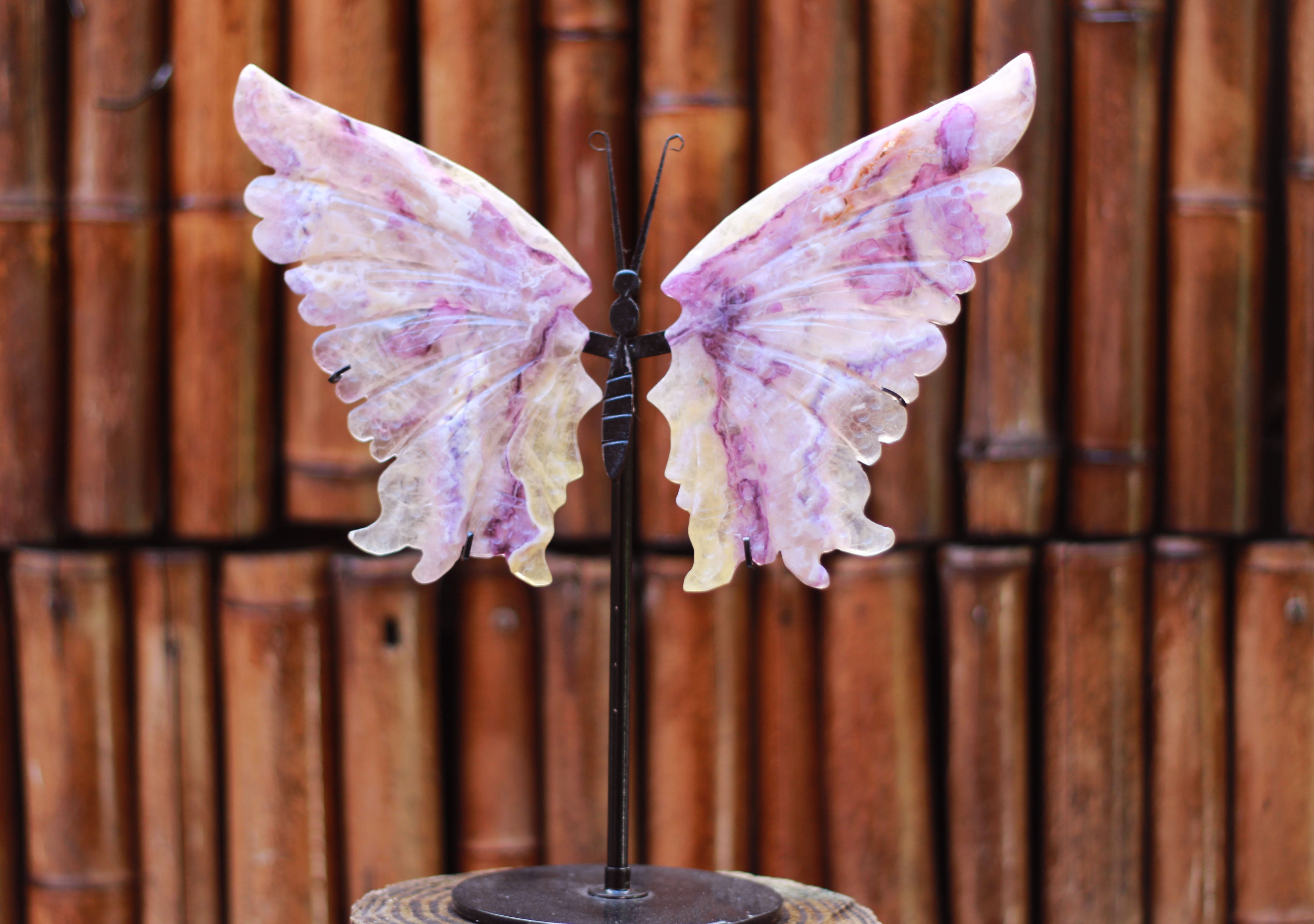 Rainbow Fluorite butterfly wings in stand for Focus, Creativity & Productivity