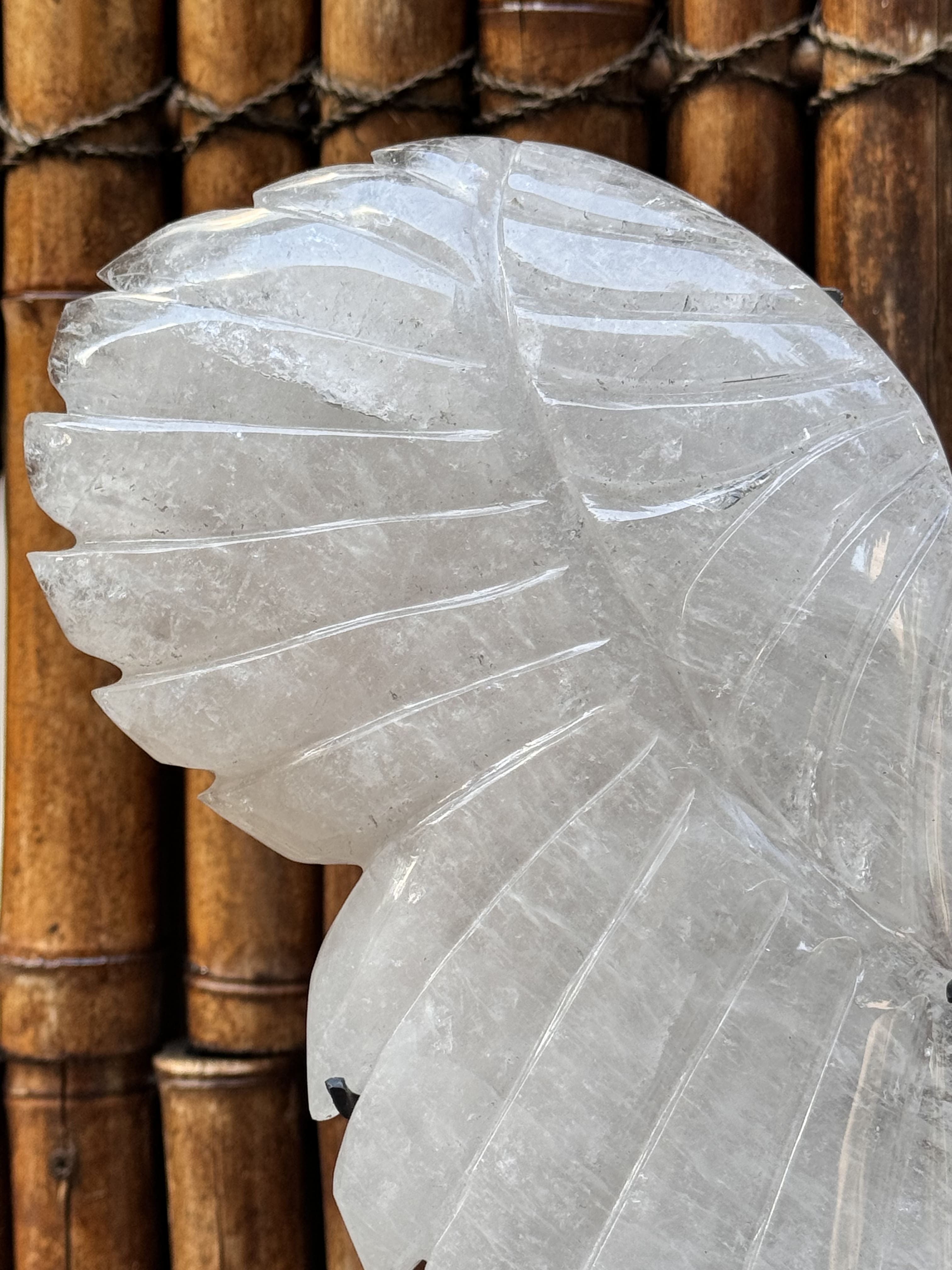 Clear Quartz Polished Angel wings for meditation and manifestation