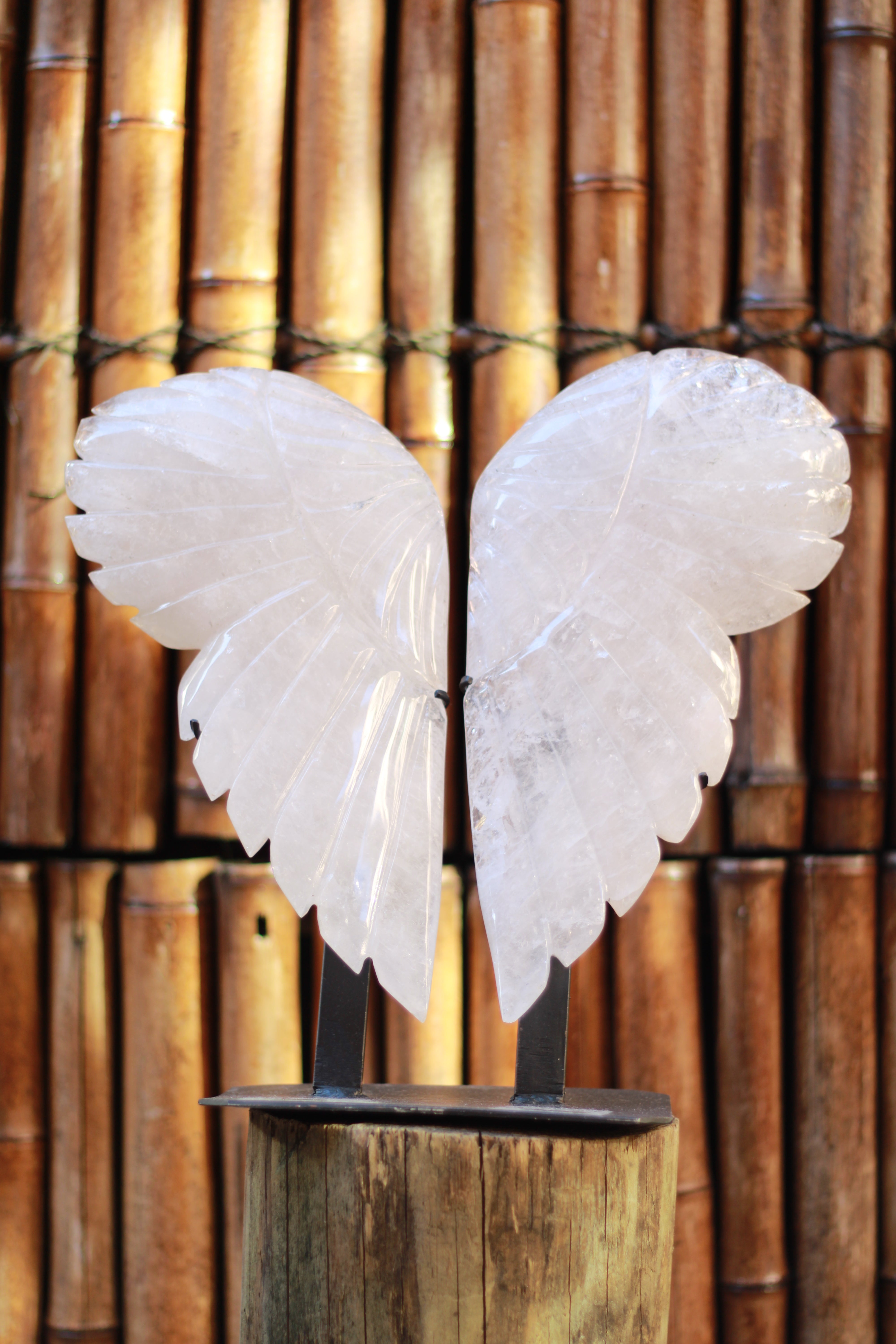 Clear Quartz Polished Angel wings for meditation and manifestation