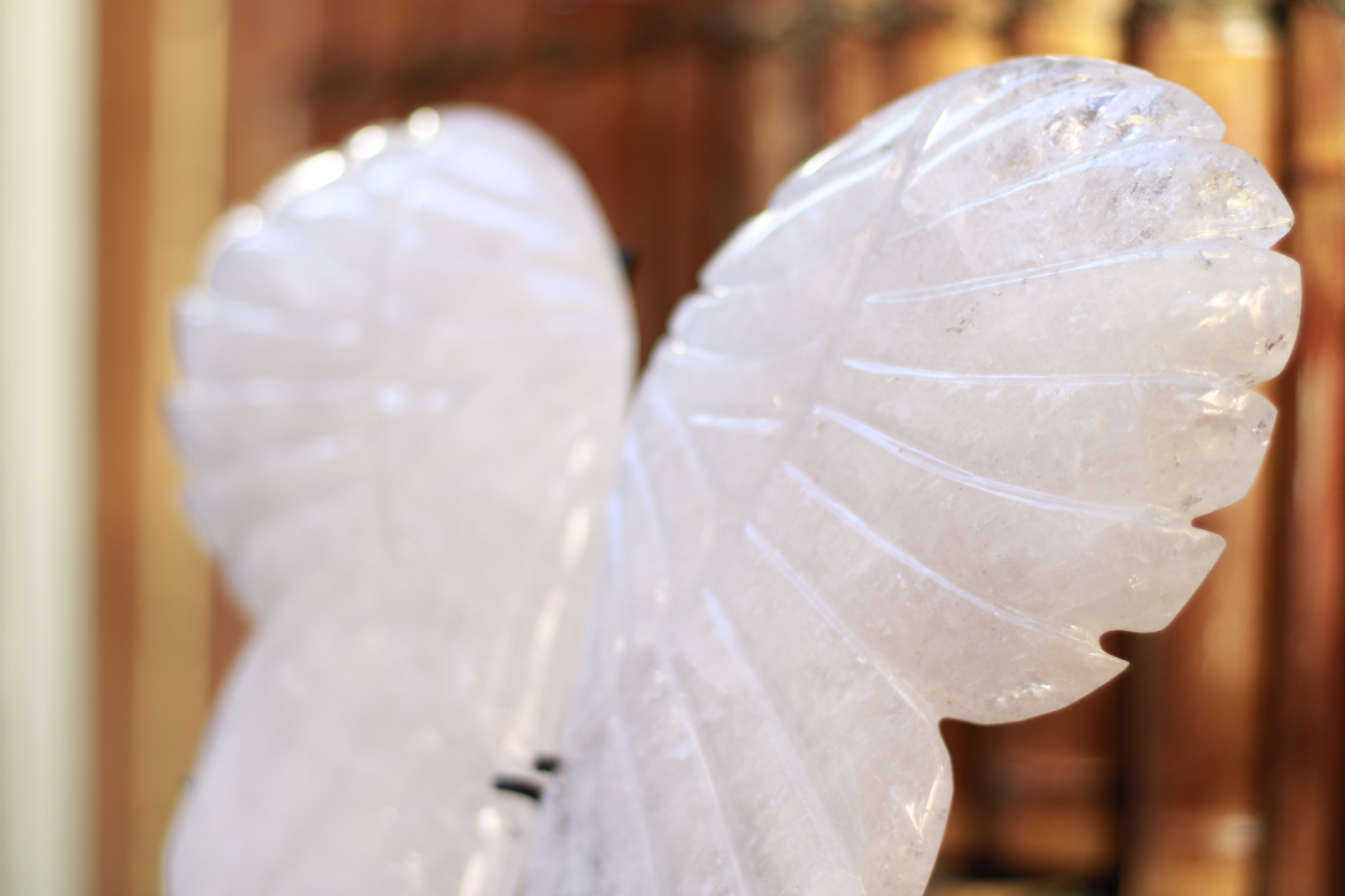 Clear Quartz Polished Angel wings for meditation and manifestation