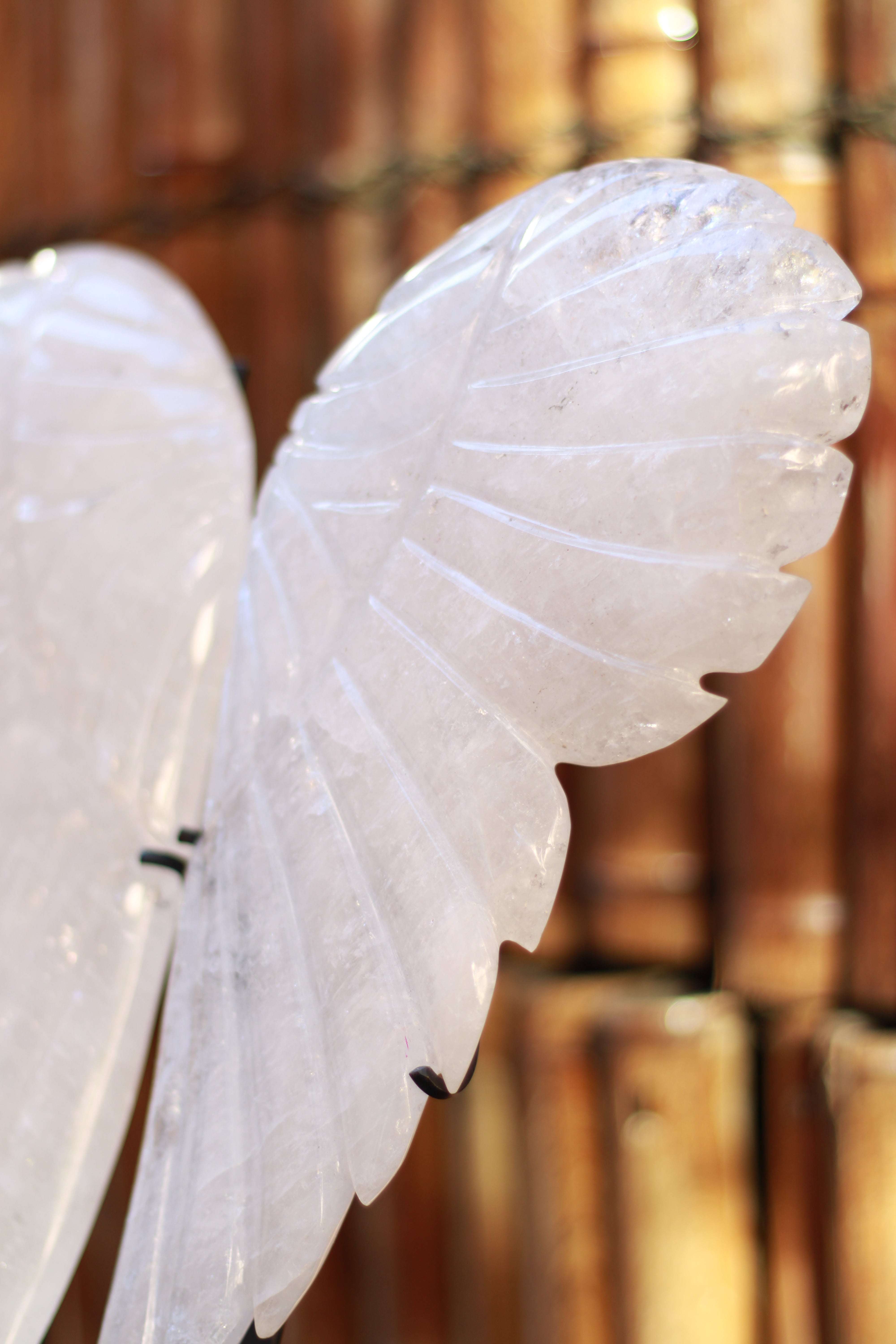 Clear Quartz Polished Angel wings for meditation and manifestation