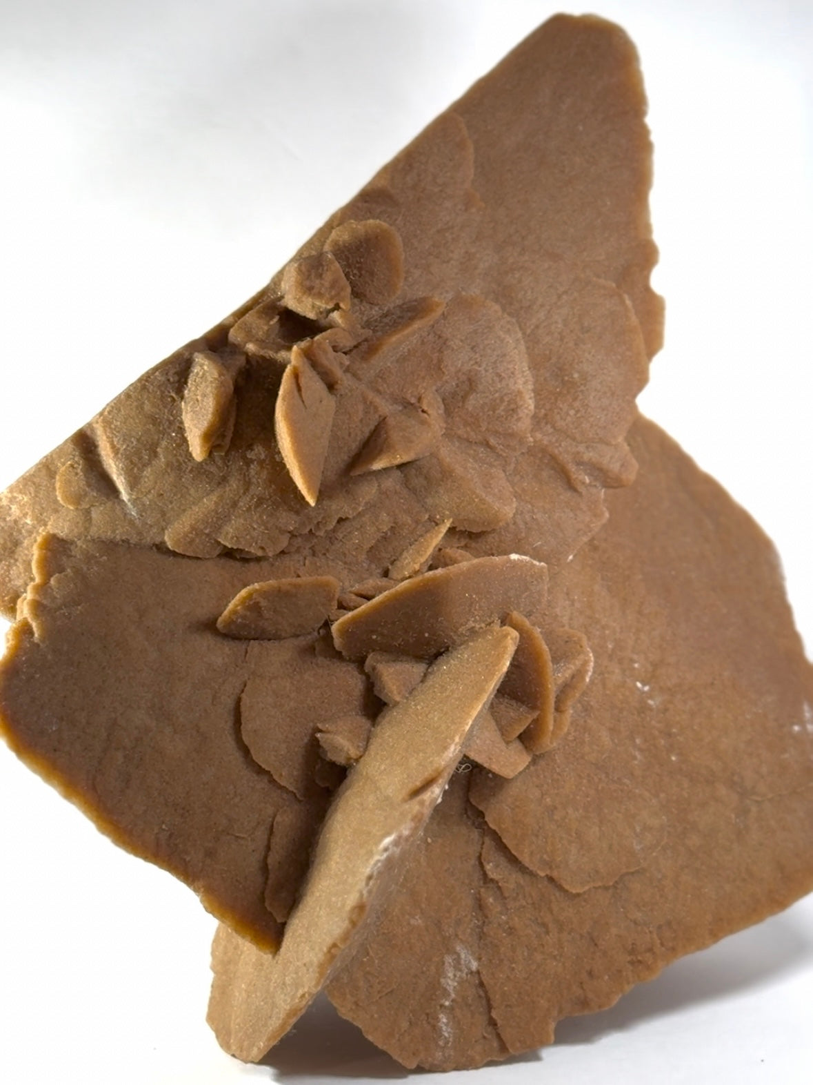 Large Desert Rose for clearing and stabilizing energy, grief and grounding .