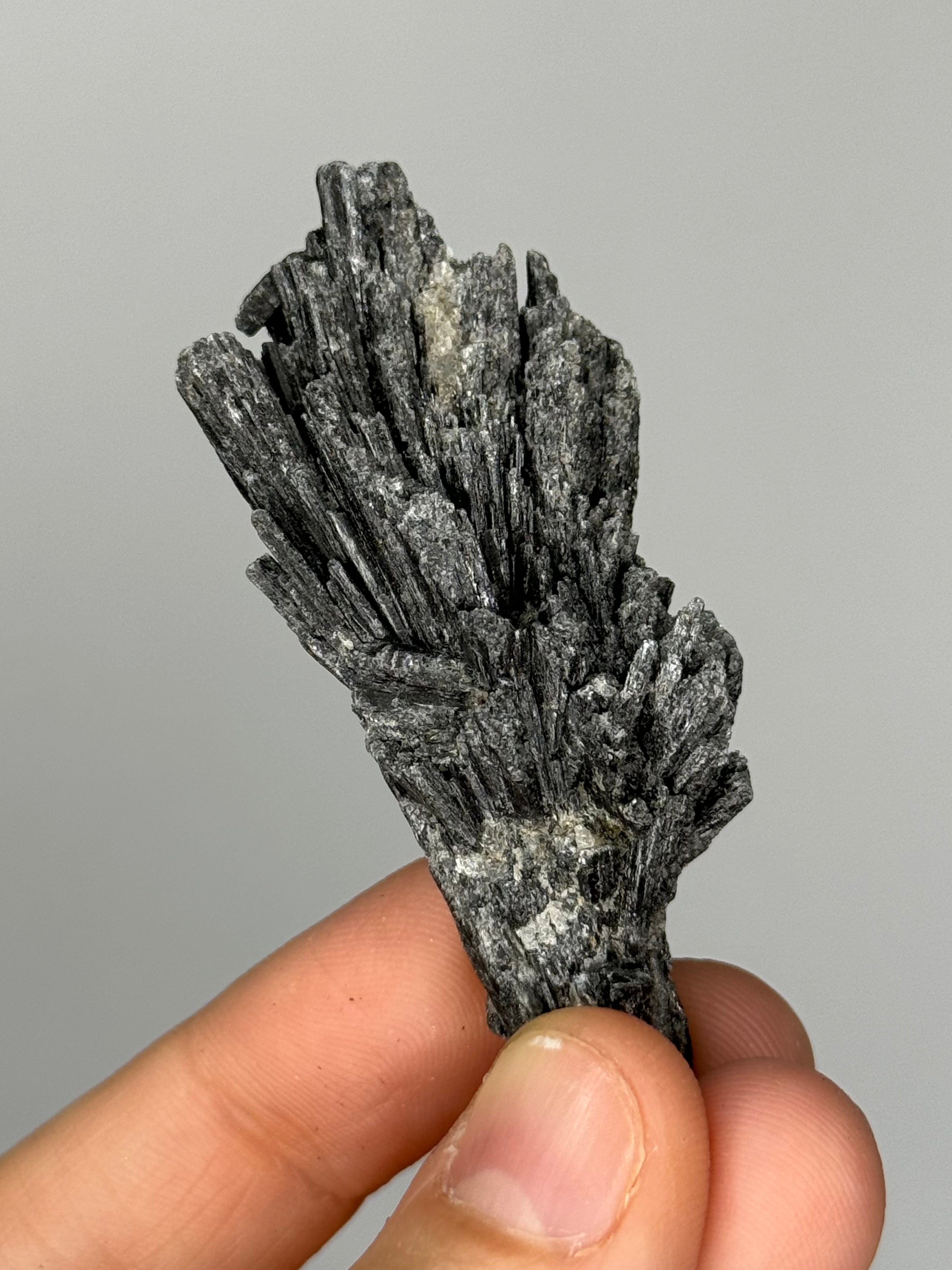 Raw Black Kyanite for Psychic Protection. Energetic Cords dissolving.