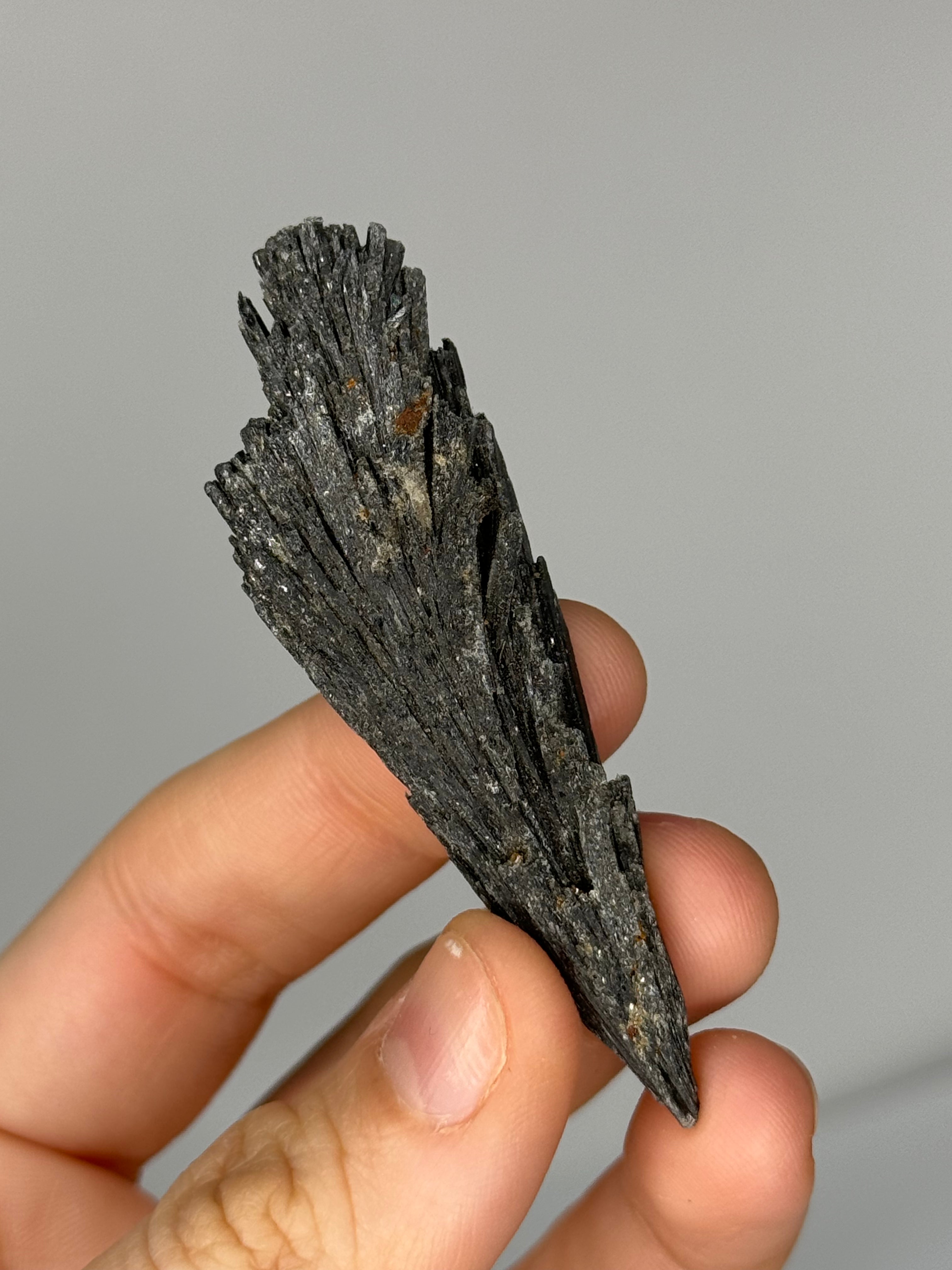 Raw Black Kyanite for Psychic Protection. Energetic Cords dissolving.