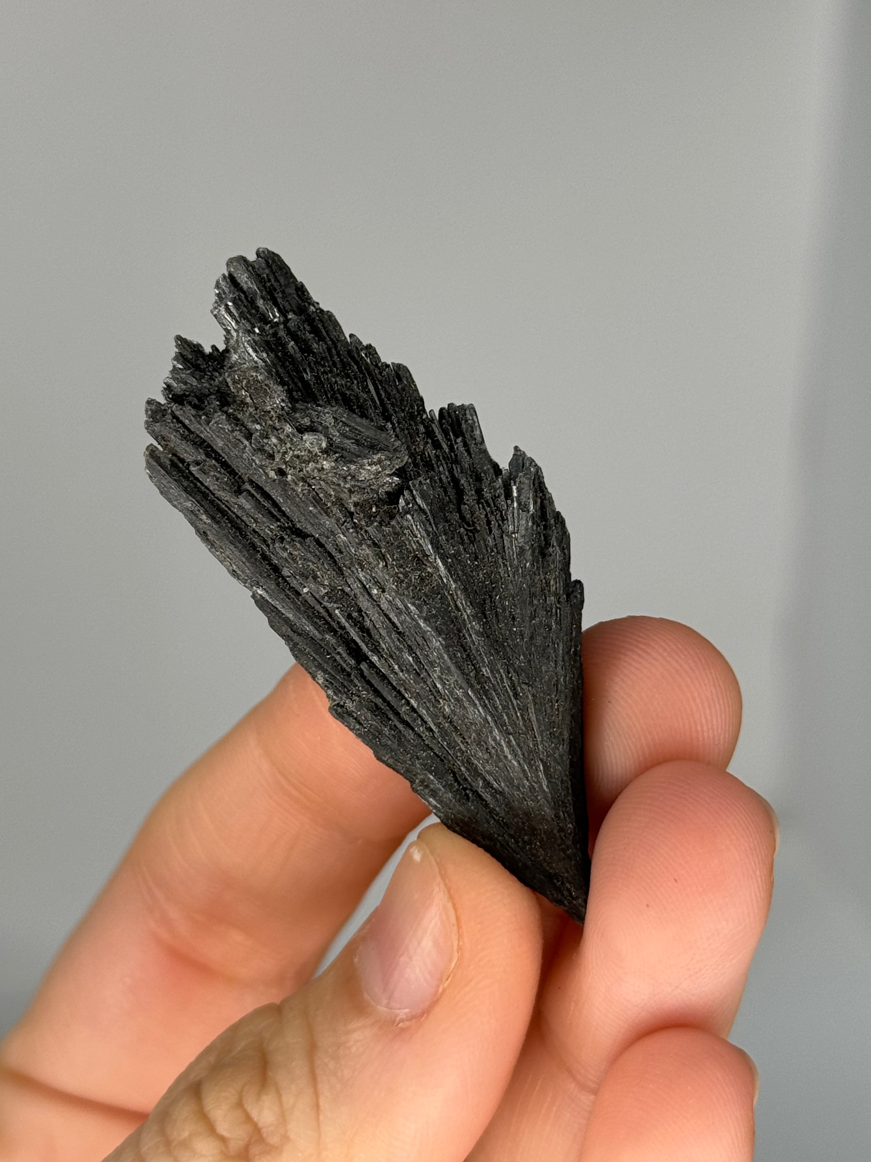 Raw Black Kyanite for Psychic Protection. Energetic Cords dissolving.