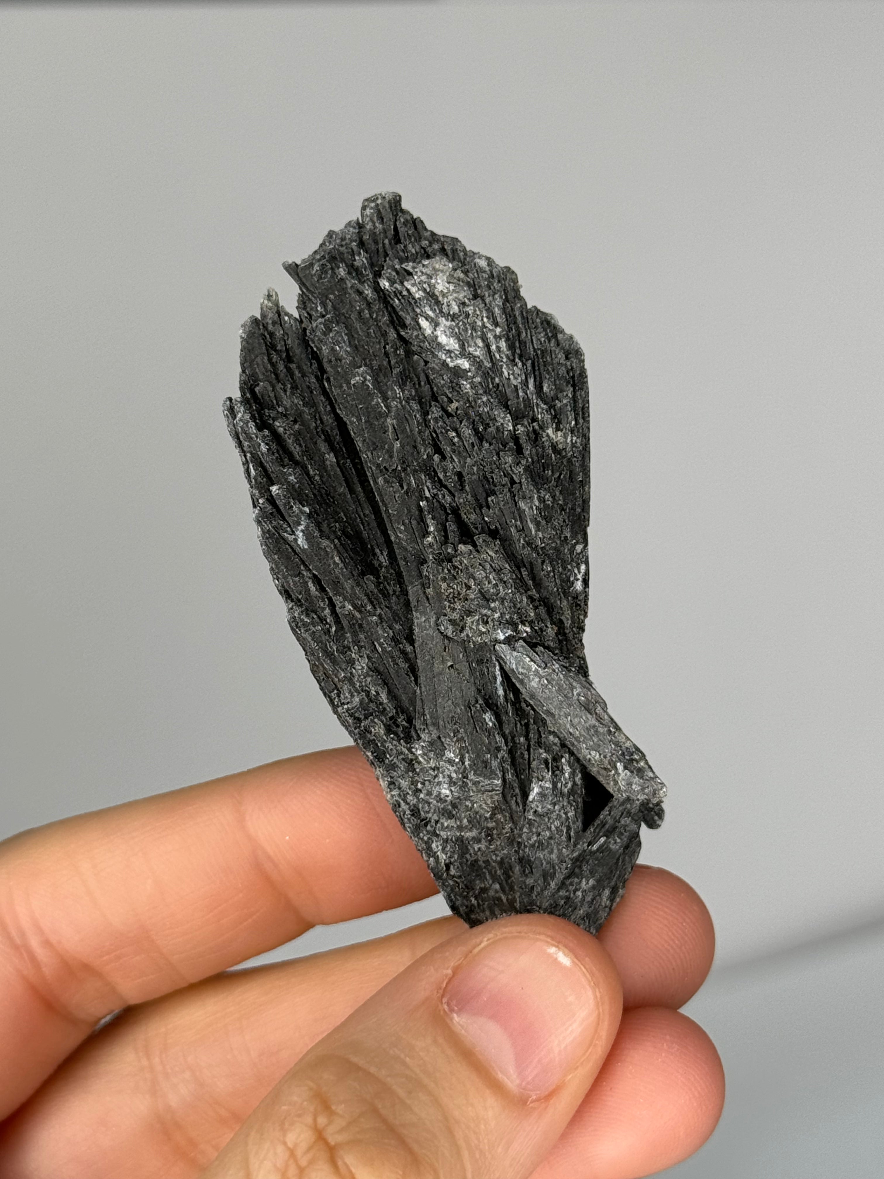 Raw Black Kyanite for Psychic Protection. Energetic Cords dissolving.