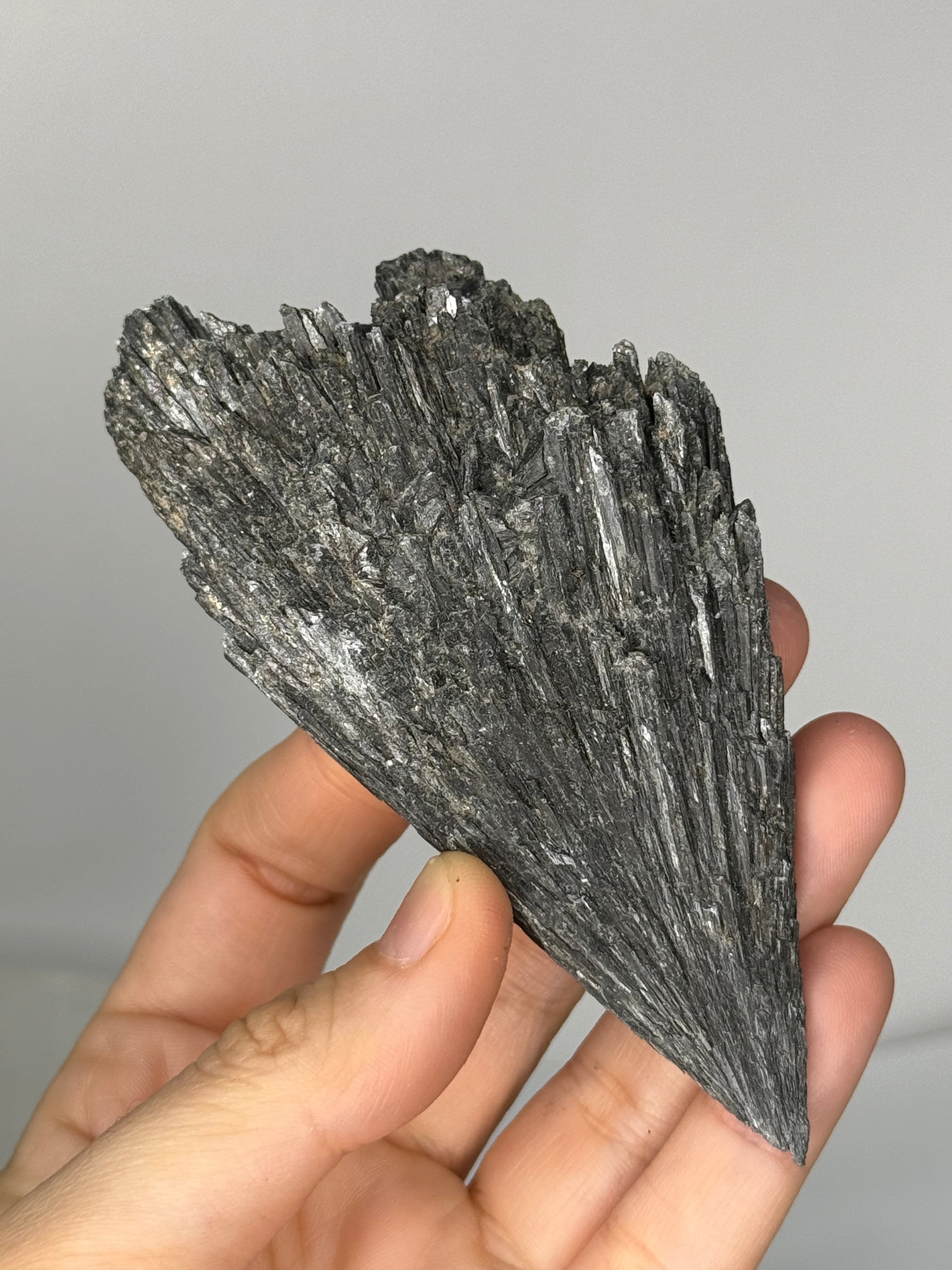 Raw Black Kyanite for Psychic Protection. Energetic Cords dissolving.