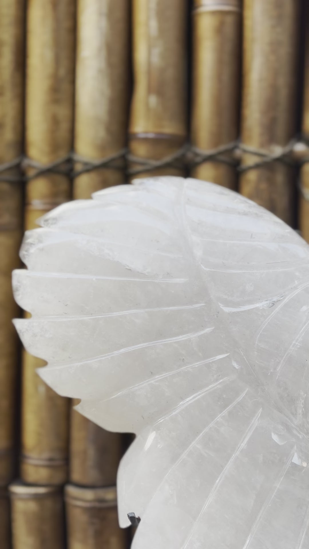 Clear Quartz Polished Angel wings for meditation and manifestation