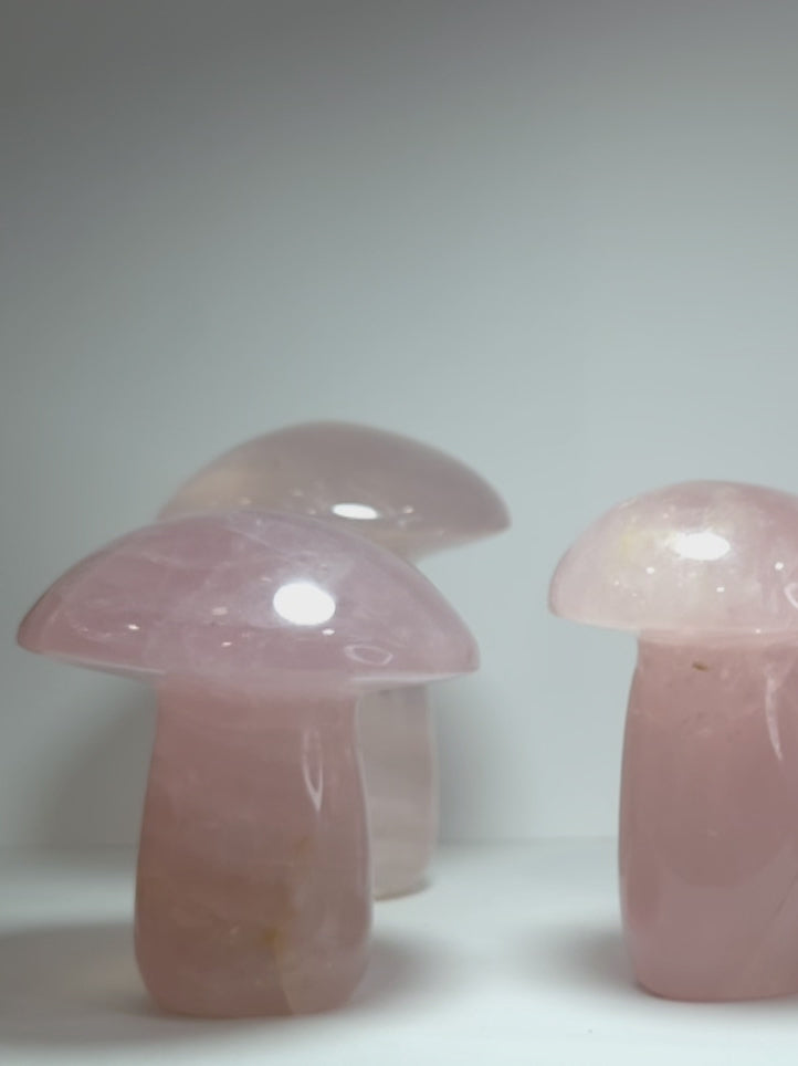 Rose Quartz Mushrooms for Unconditional Love