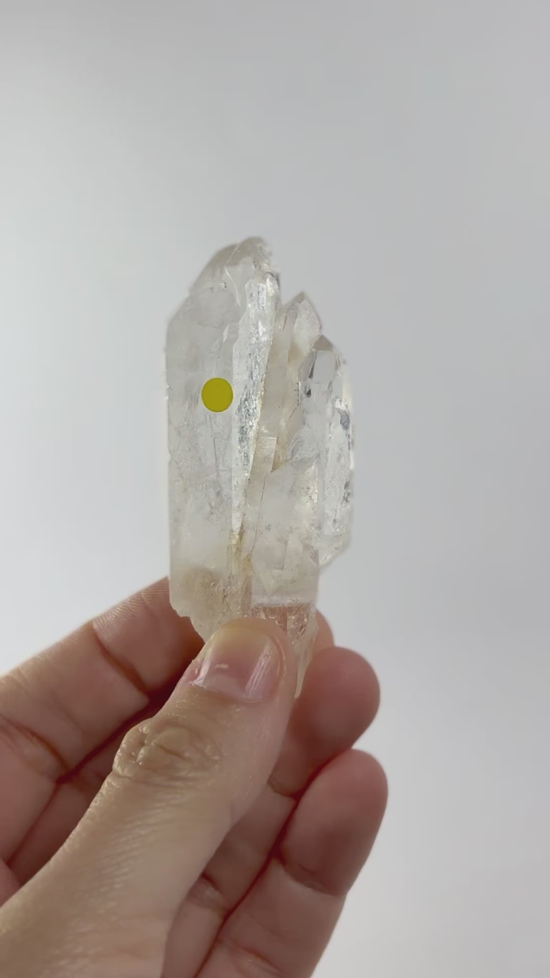 Lemurian Quartz from Brazil for Light Codes, Trascendence & Healing