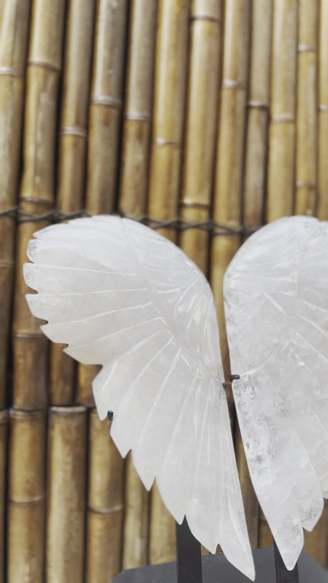 Clear Quartz Polished Angel wings for meditation and manifestation