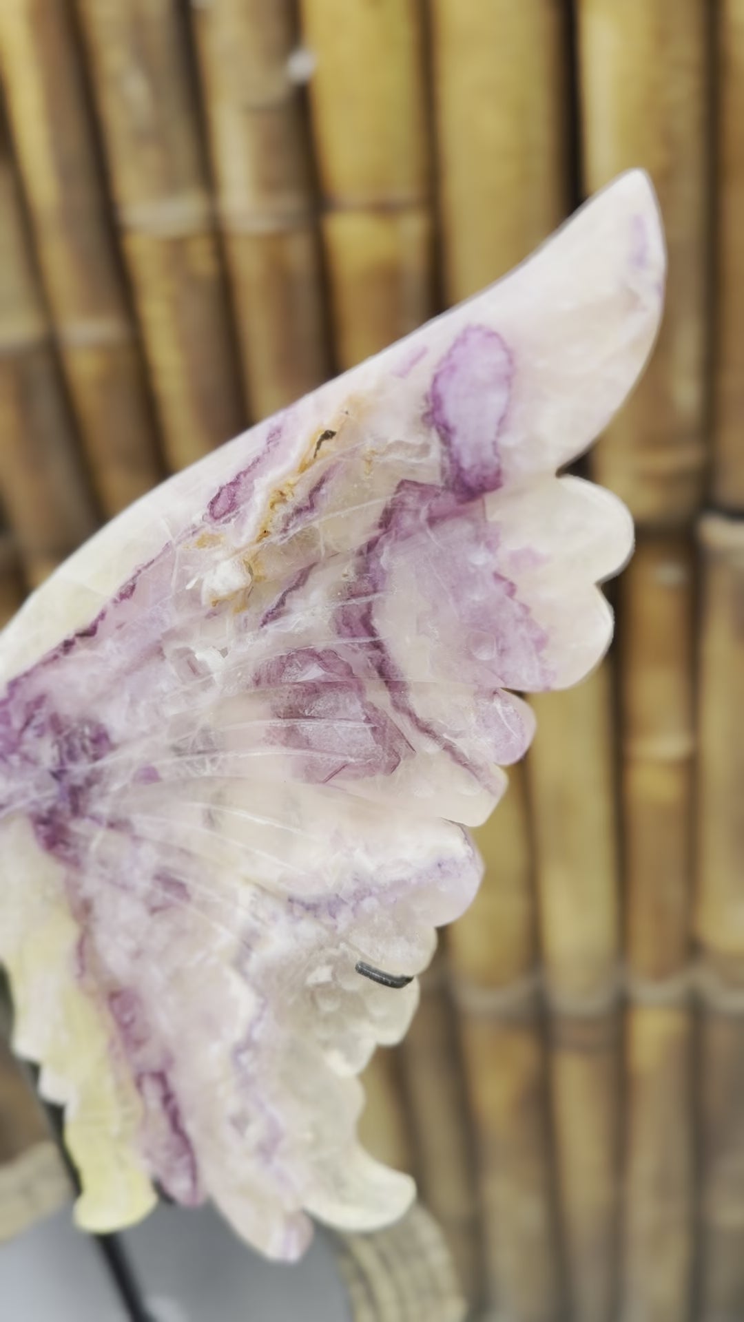 Rainbow Fluorite butterfly wings in stand for Focus, Creativity & Productivity