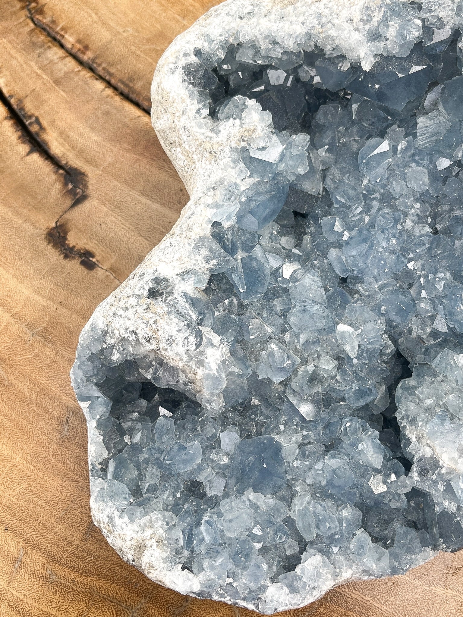 Large Raw Celestite Crystal Geode for Calm and Guide