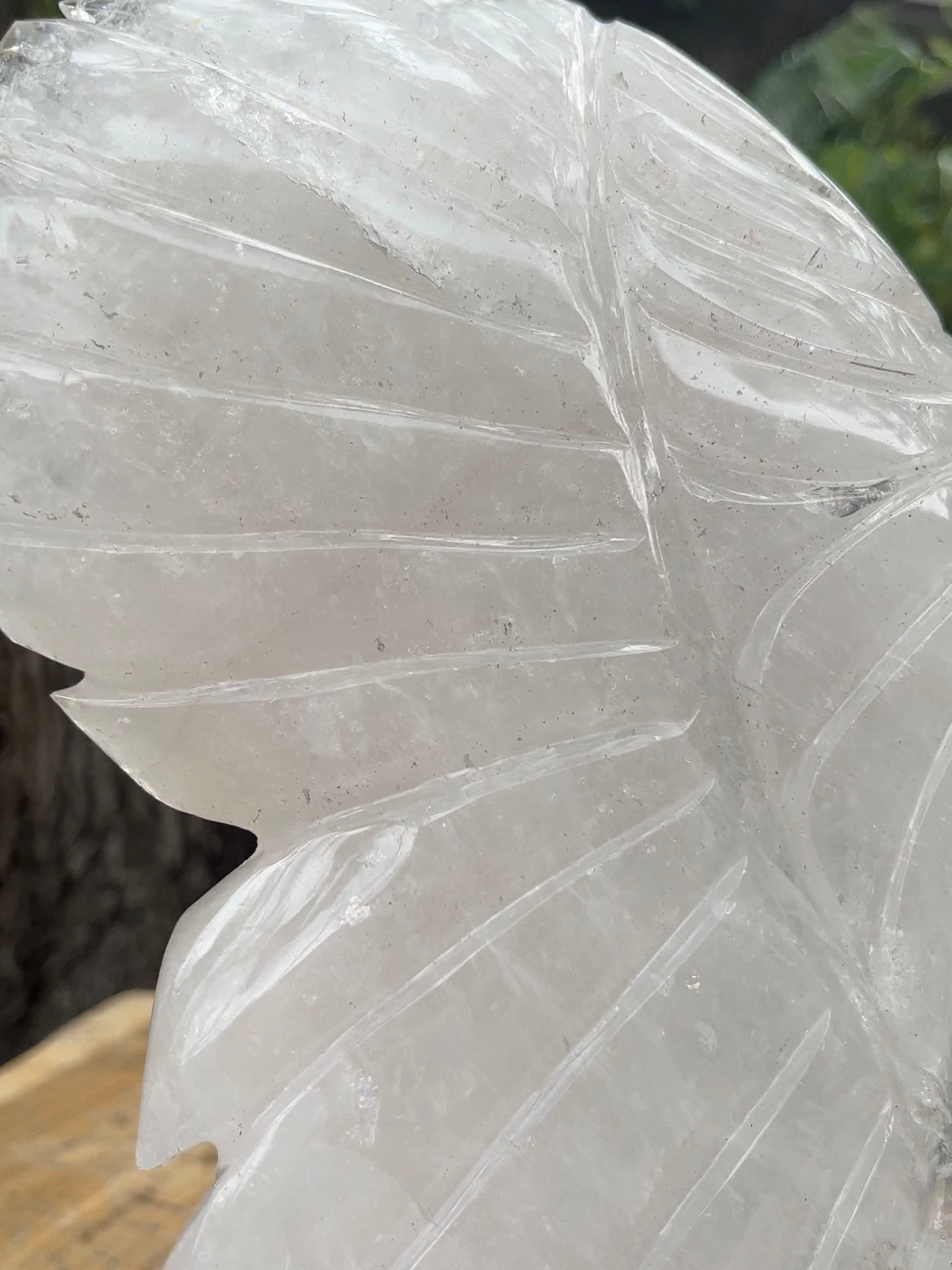 Clear Quartz Polished Angel wings for meditation and manifestation