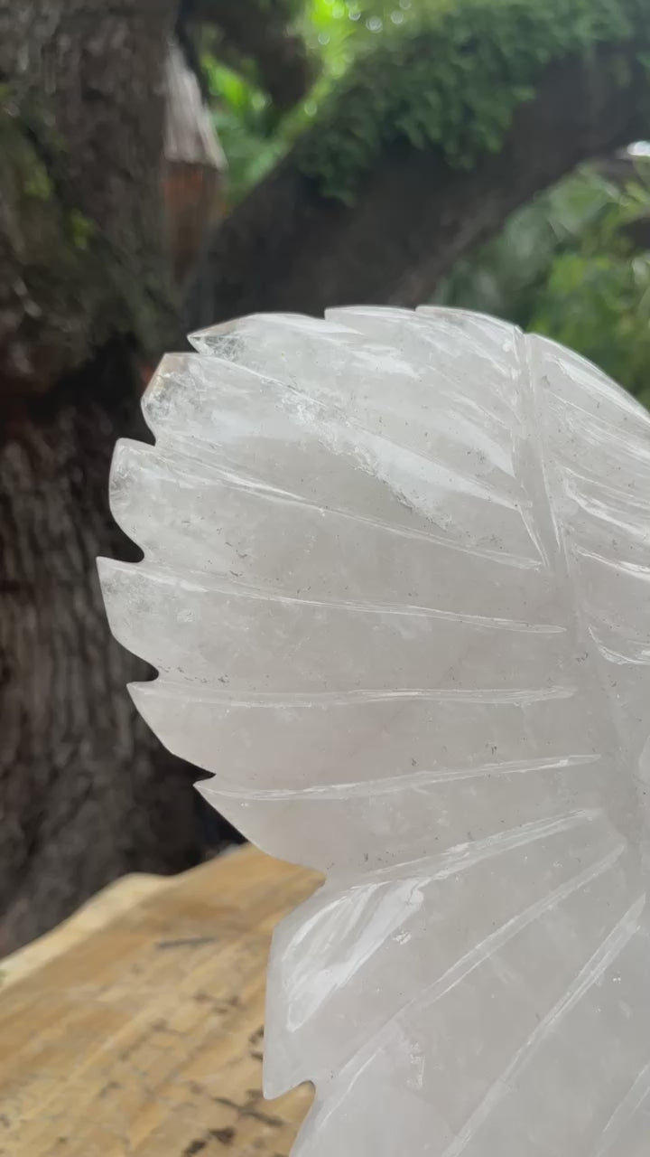 Clear Quartz Polished Angel wings for meditation and manifestation